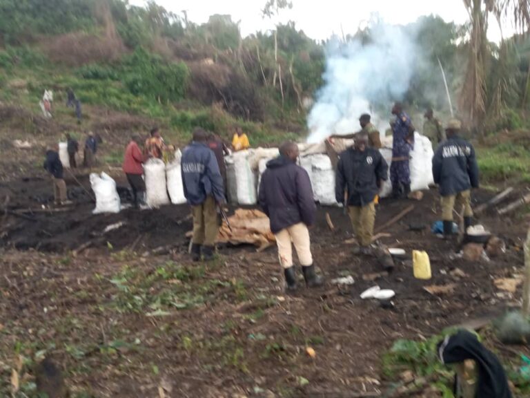 NEMA TOUGHENS ON BUFFER ZONE PROTECTION, NETS 16 SUSPECTS