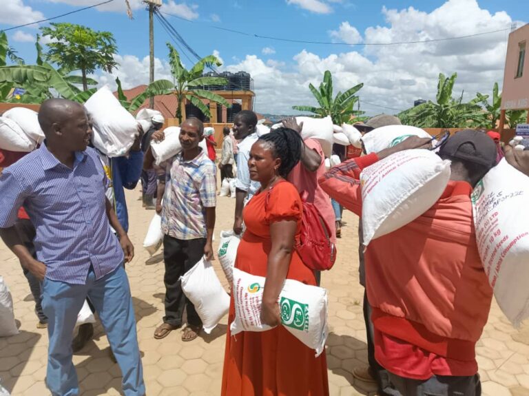MP MUWADA NKUNYINGI DISTRIBUTES IMPROVED SEEDS TO VOTERS, VOWS TO BATTLE LAND GRABBERS IN KYADONDO EAST